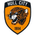 Hull City